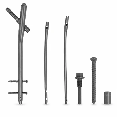 Kuku Intramedullary Femoralis